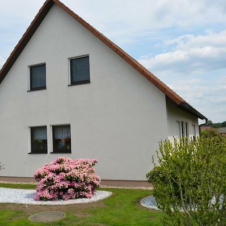 Ferienwohnung Starke Gablenz Dış mekan fotoğraf